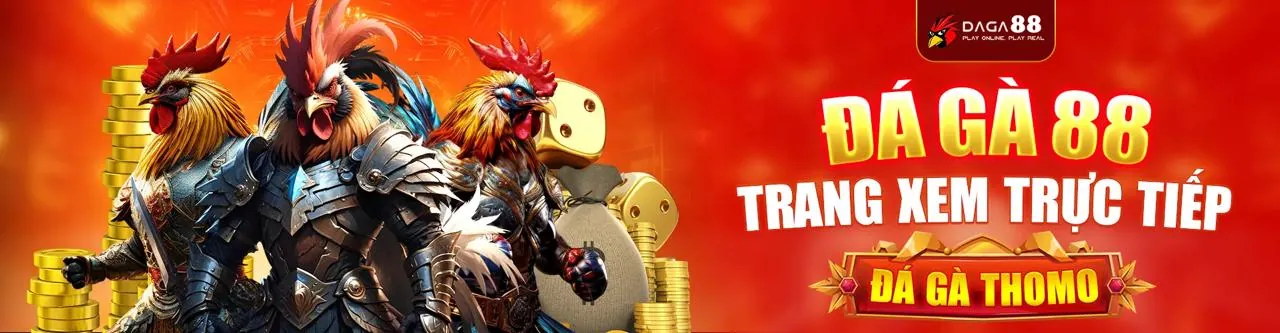 Đá gà trực tiếp tại K88C